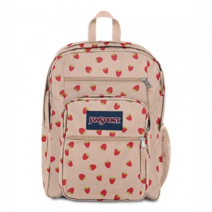 JanSport BIG STUDENT Laptop Rucksack Rucksäcke Rosa Rot | YCHGT99369