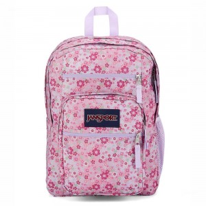 JanSport BIG STUDENT Laptop Rucksack Rucksäcke Rosa | UCHND60722