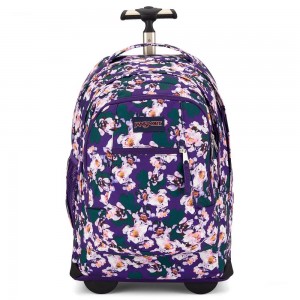 JanSport Driver 8 Rolling Laptop Rucksack Rucksäcke Lila | GCHUC88812