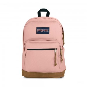 JanSport Right Pack Schulrucksäcke Rucksäcke Rosa | CHZDE81137