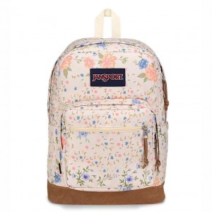 JanSport Right Pack Schulrucksäcke Rucksäcke Beige | QCHWA54166