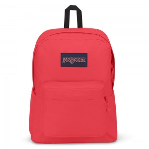 JanSport SuperBreak® Plus Laptop Rucksack Rucksäcke Rosa | BCHSD94796