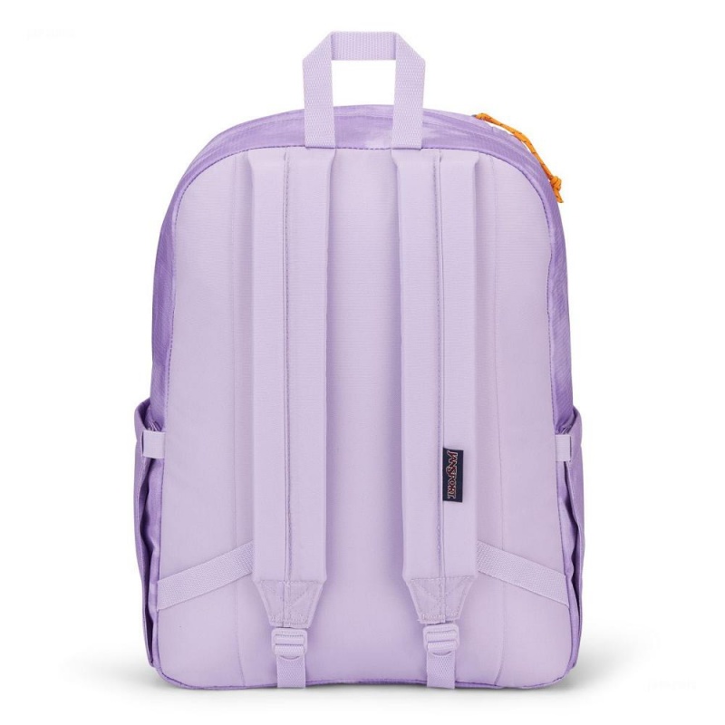 JanSport Double Break Laptop Rucksack Rucksäcke Lila | CHNZX22322