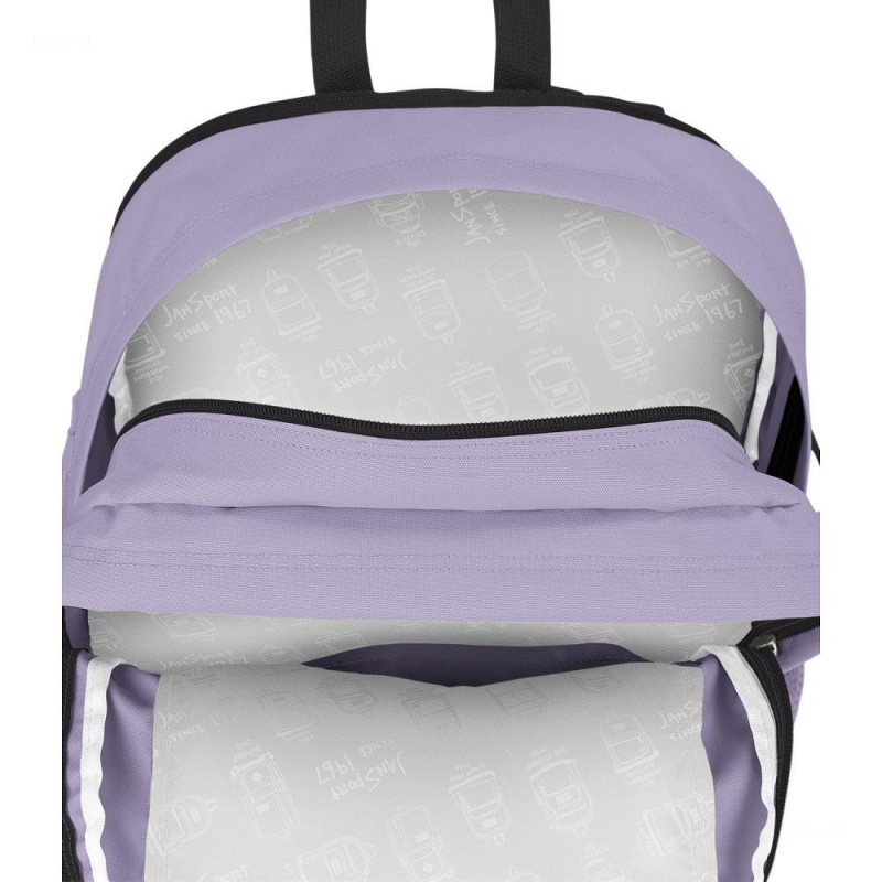 JanSport Main Campus Laptop Rucksack Rucksäcke Lila | CHDYB45680