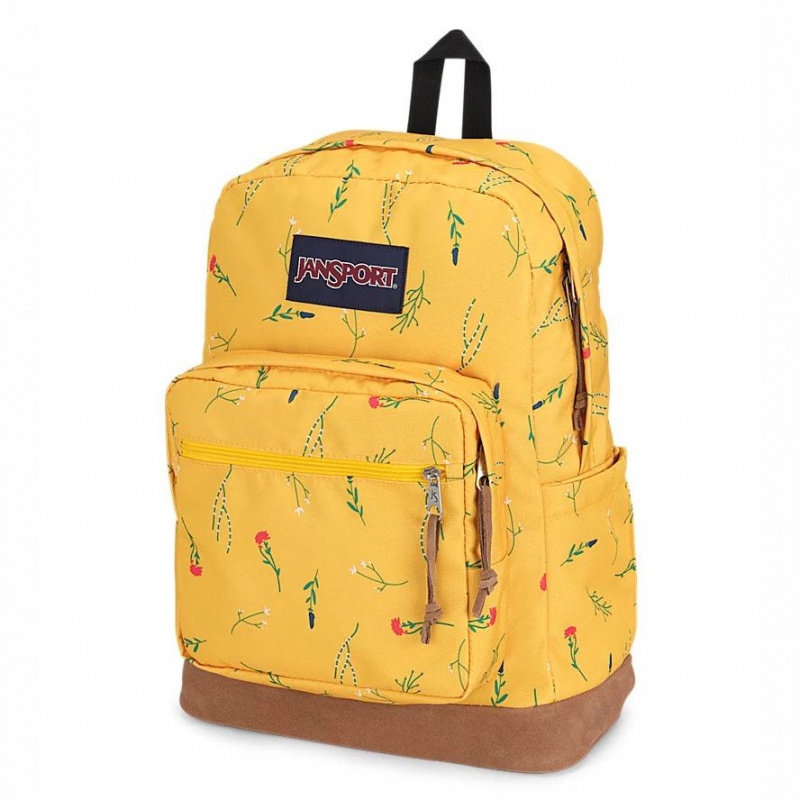 JanSport Right Pack Schulrucksäcke Rucksäcke Gelb | ACHDF49025