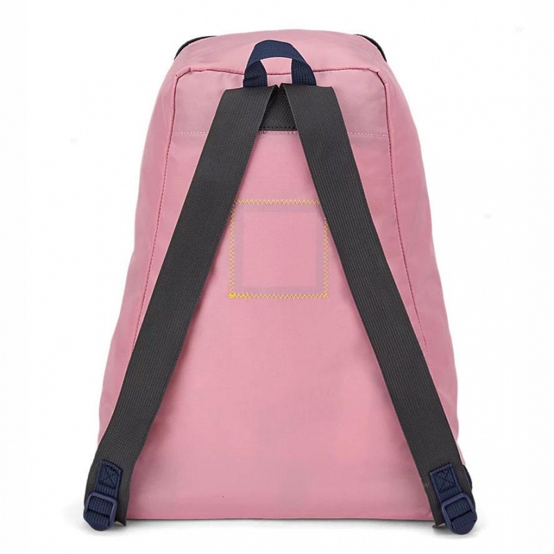 JanSport SKI N HIKE Schulrucksäcke Rucksäcke Rosa | CHJVR36368